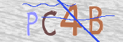 CAPTCHA Image